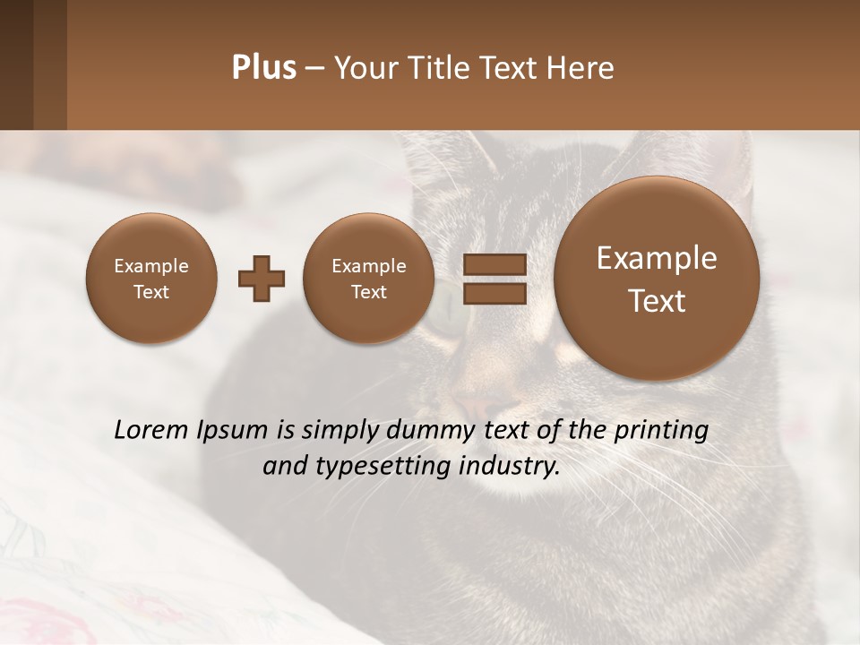 A Cat Sitting On Top Of A Bed Next To A Cat PowerPoint Template