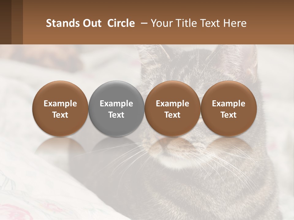 A Cat Sitting On Top Of A Bed Next To A Cat PowerPoint Template