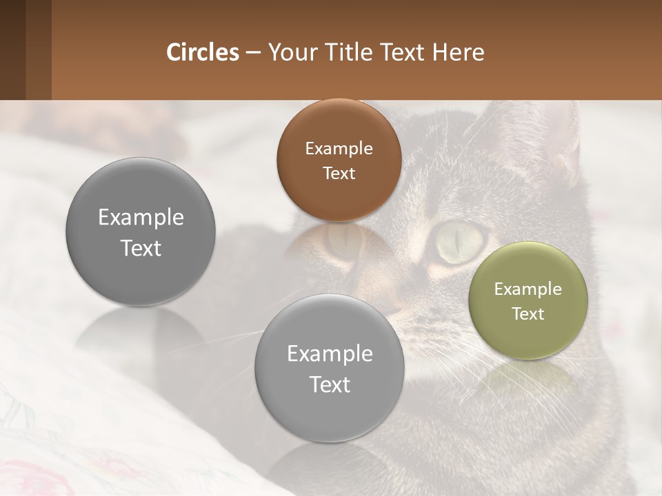 A Cat Sitting On Top Of A Bed Next To A Cat PowerPoint Template