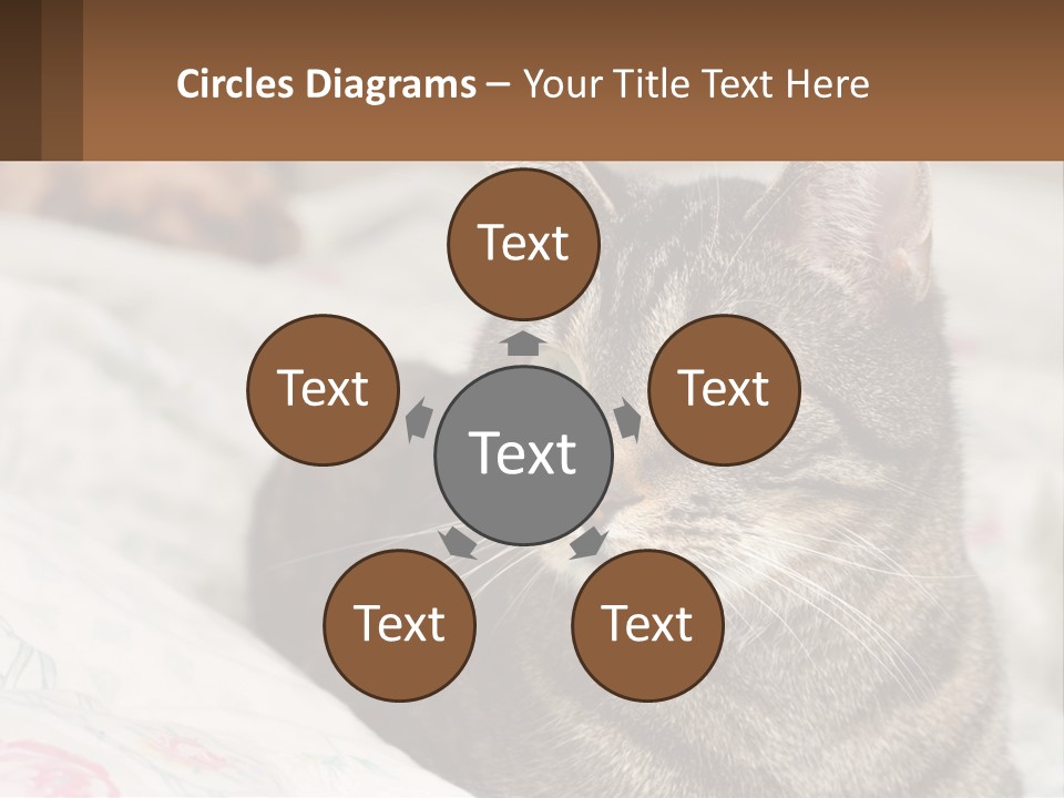 A Cat Sitting On Top Of A Bed Next To A Cat PowerPoint Template