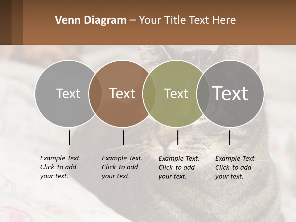 A Cat Sitting On Top Of A Bed Next To A Cat PowerPoint Template