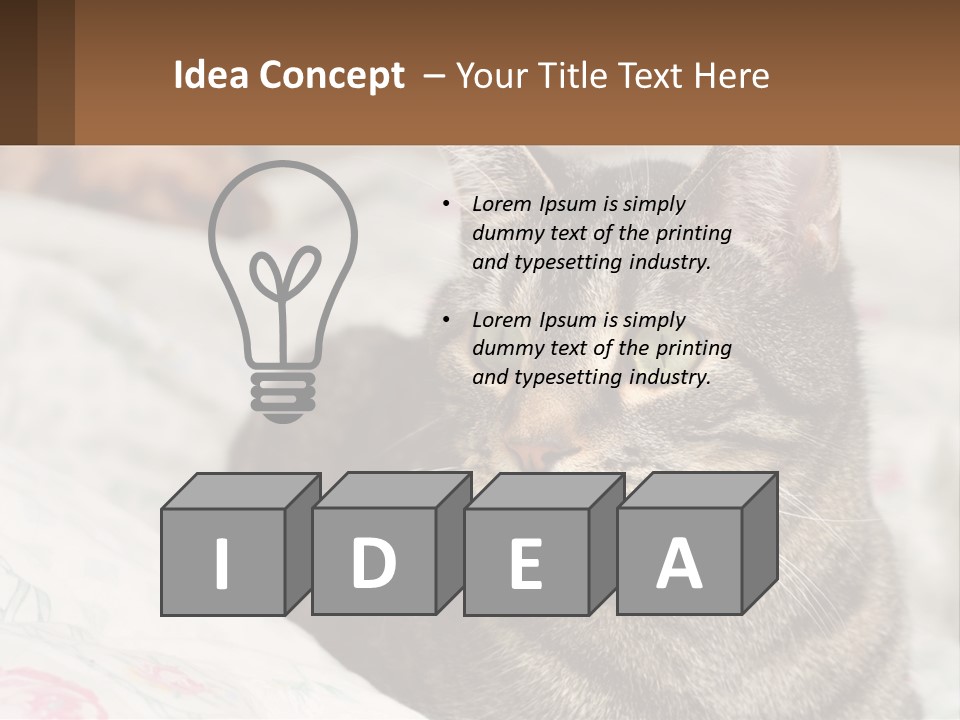 A Cat Sitting On Top Of A Bed Next To A Cat PowerPoint Template