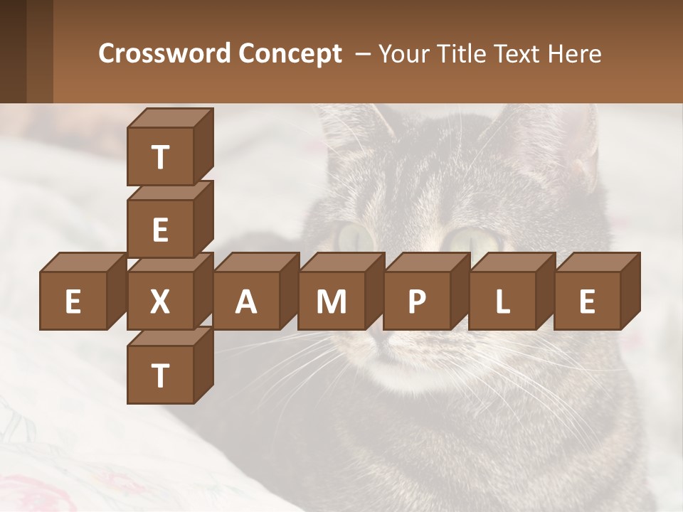 A Cat Sitting On Top Of A Bed Next To A Cat PowerPoint Template