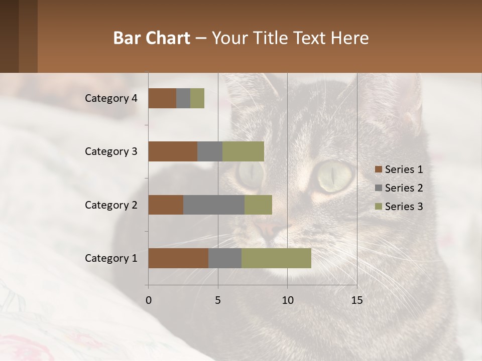 A Cat Sitting On Top Of A Bed Next To A Cat PowerPoint Template