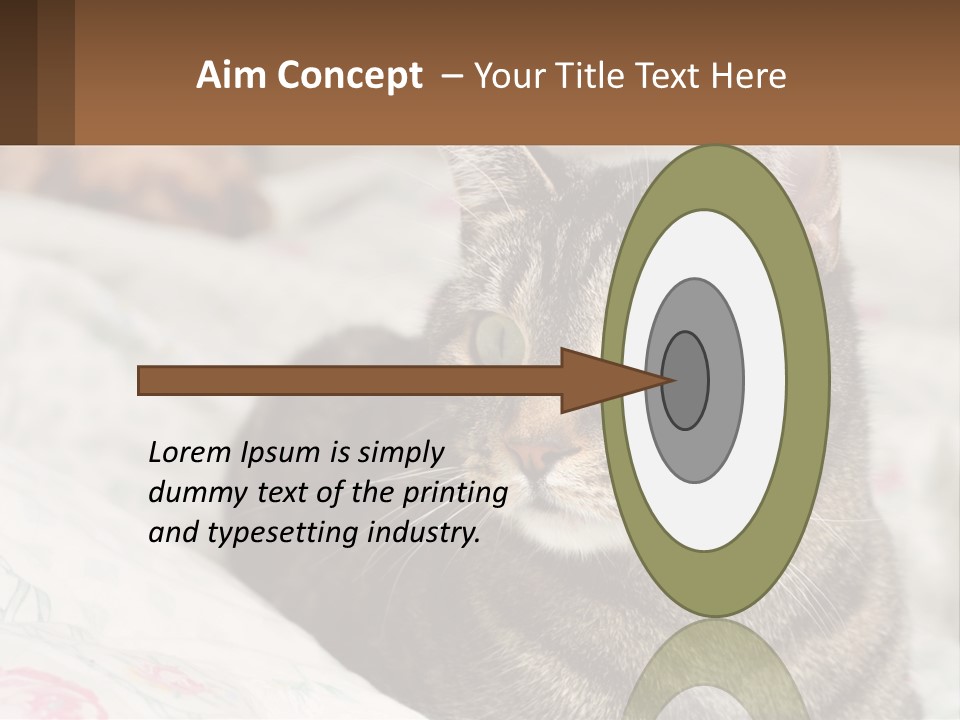 A Cat Sitting On Top Of A Bed Next To A Cat PowerPoint Template