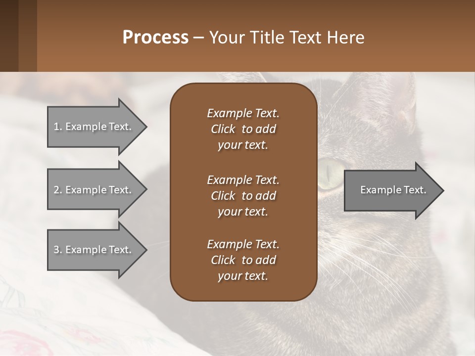 A Cat Sitting On Top Of A Bed Next To A Cat PowerPoint Template
