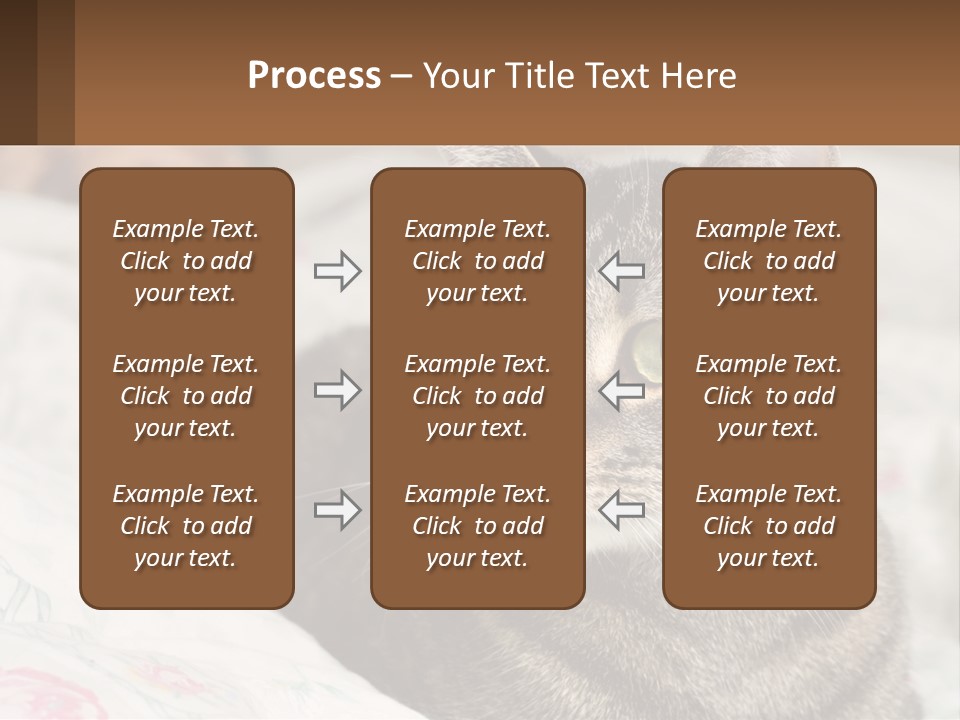 A Cat Sitting On Top Of A Bed Next To A Cat PowerPoint Template