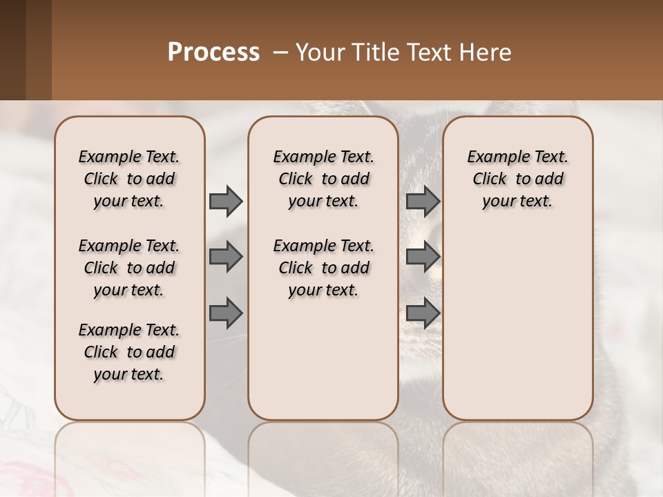 A Cat Sitting On Top Of A Bed Next To A Cat PowerPoint Template