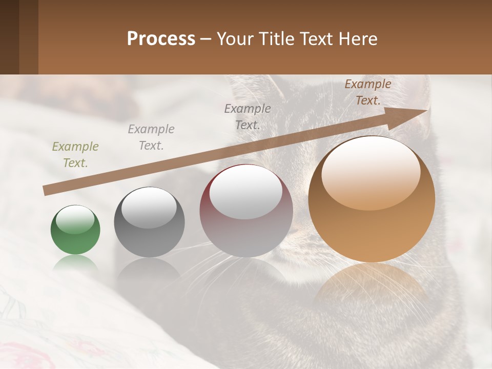 A Cat Sitting On Top Of A Bed Next To A Cat PowerPoint Template