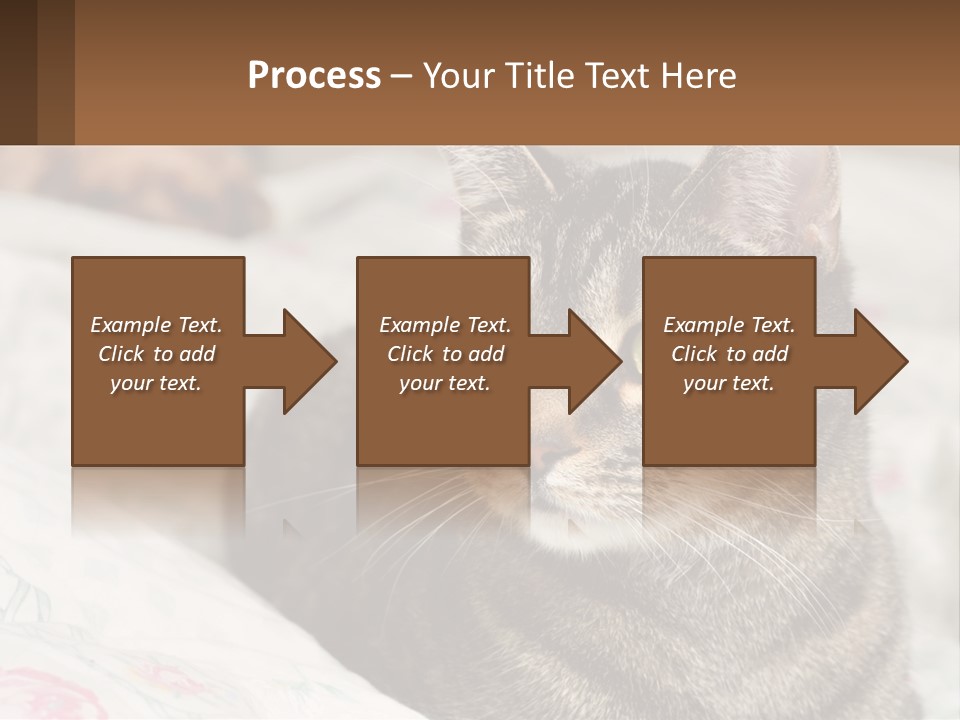 A Cat Sitting On Top Of A Bed Next To A Cat PowerPoint Template