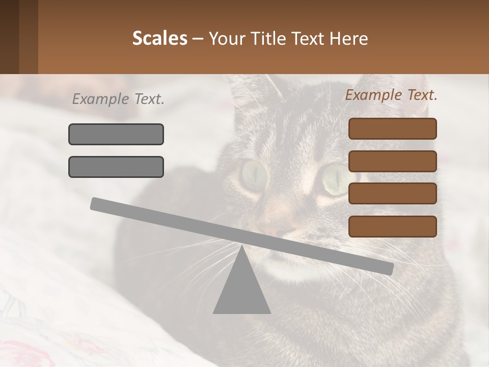 A Cat Sitting On Top Of A Bed Next To A Cat PowerPoint Template