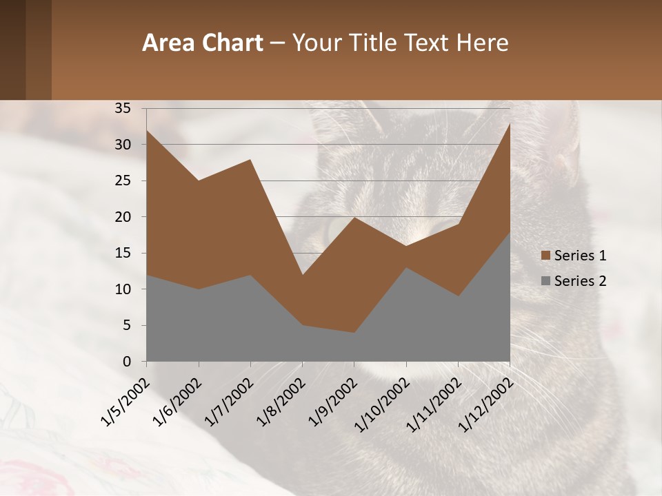 A Cat Sitting On Top Of A Bed Next To A Cat PowerPoint Template
