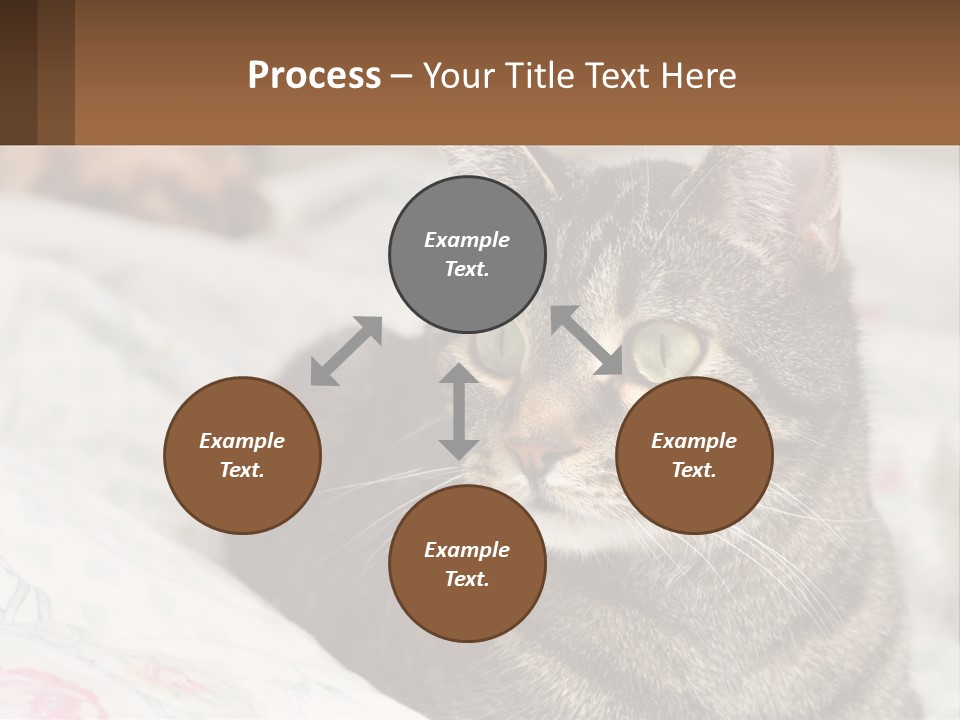 A Cat Sitting On Top Of A Bed Next To A Cat PowerPoint Template