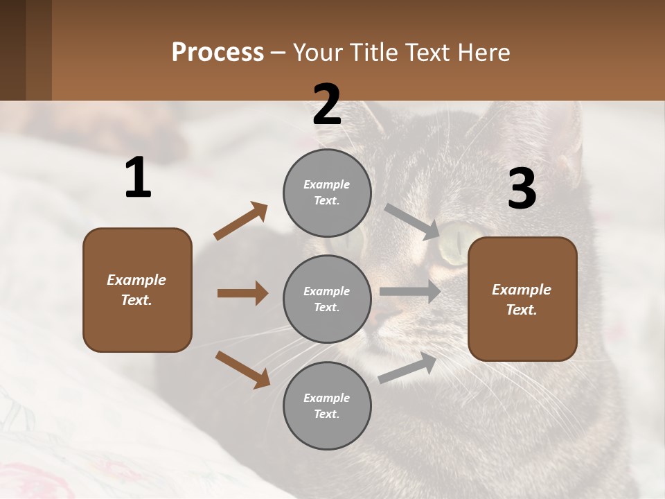 A Cat Sitting On Top Of A Bed Next To A Cat PowerPoint Template