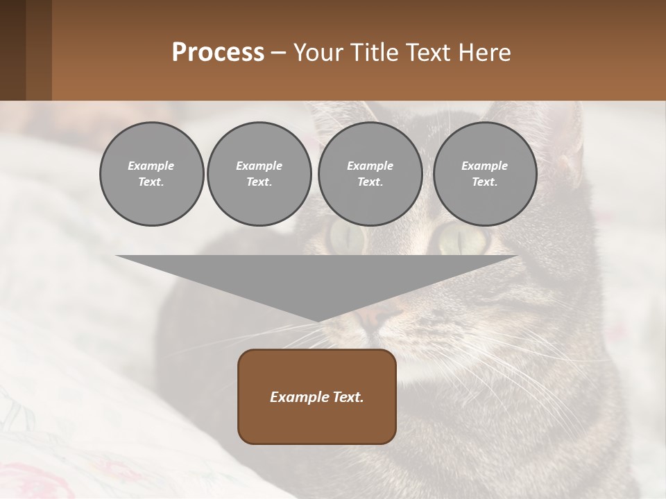 A Cat Sitting On Top Of A Bed Next To A Cat PowerPoint Template