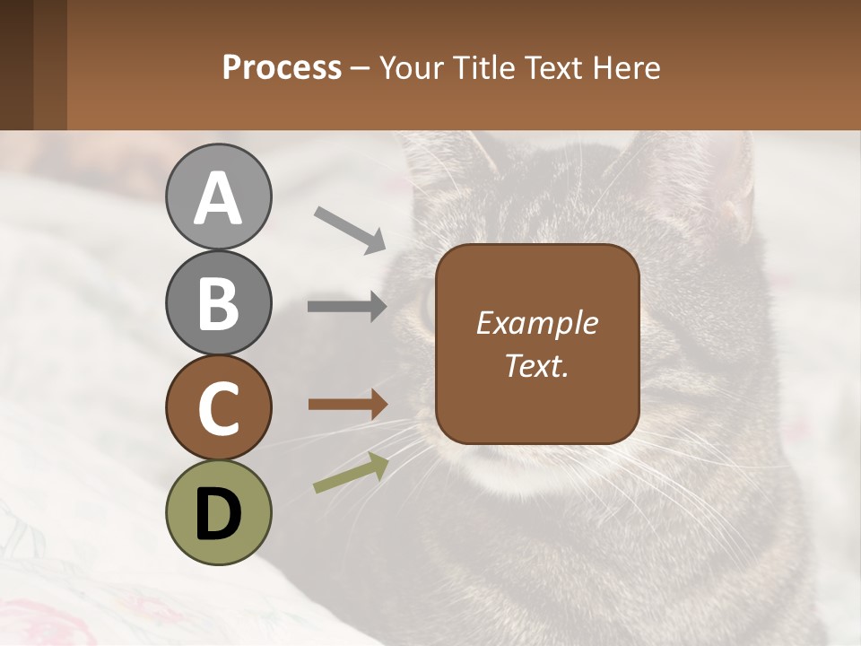 A Cat Sitting On Top Of A Bed Next To A Cat PowerPoint Template