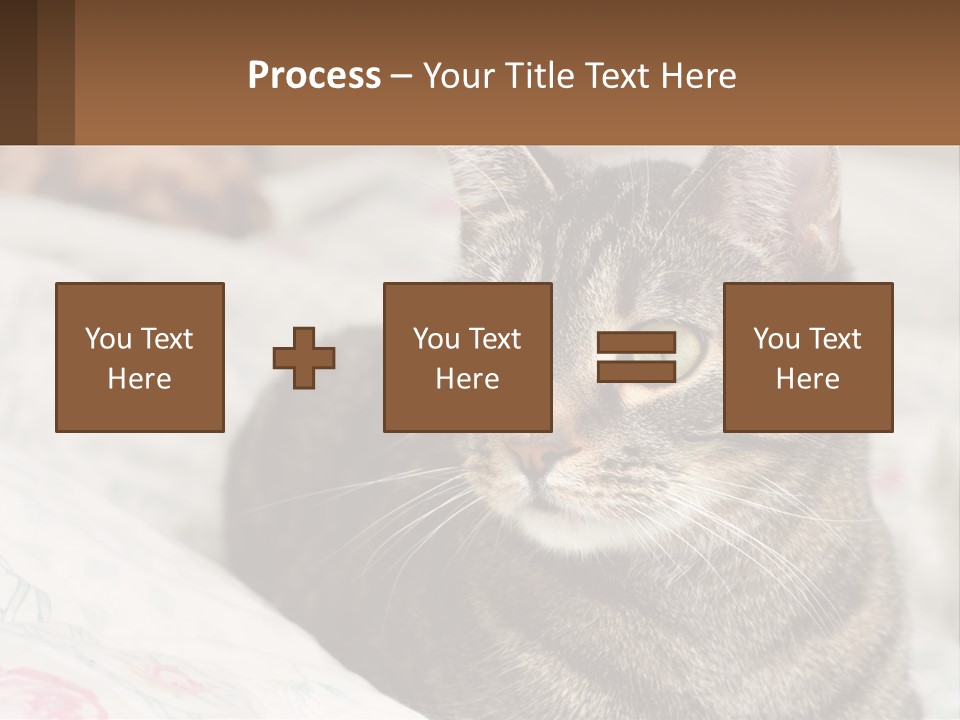A Cat Sitting On Top Of A Bed Next To A Cat PowerPoint Template