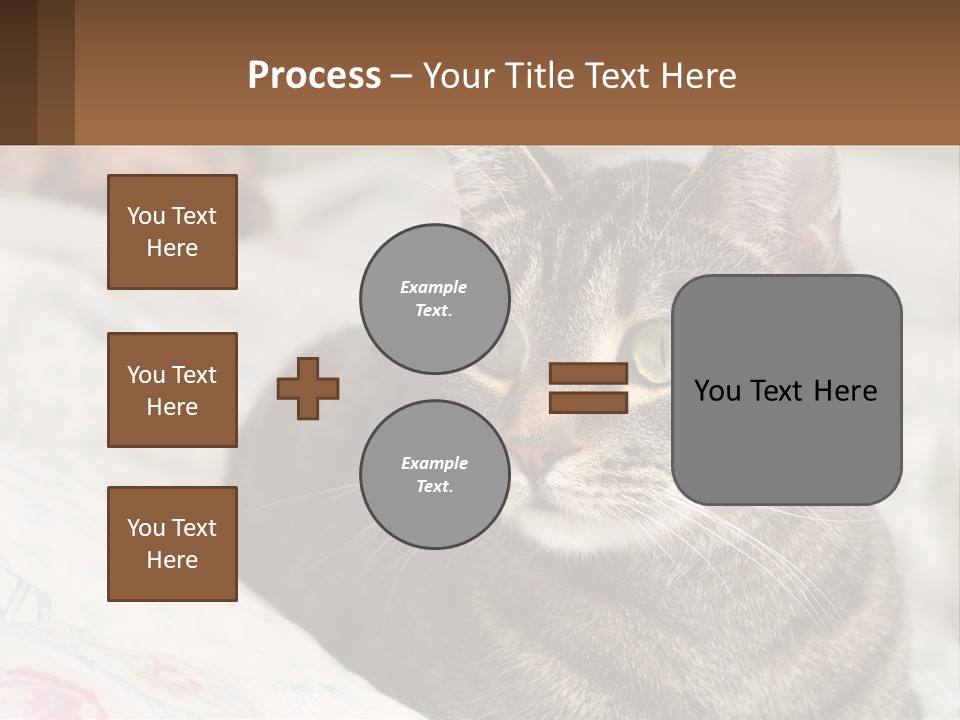 A Cat Sitting On Top Of A Bed Next To A Cat PowerPoint Template