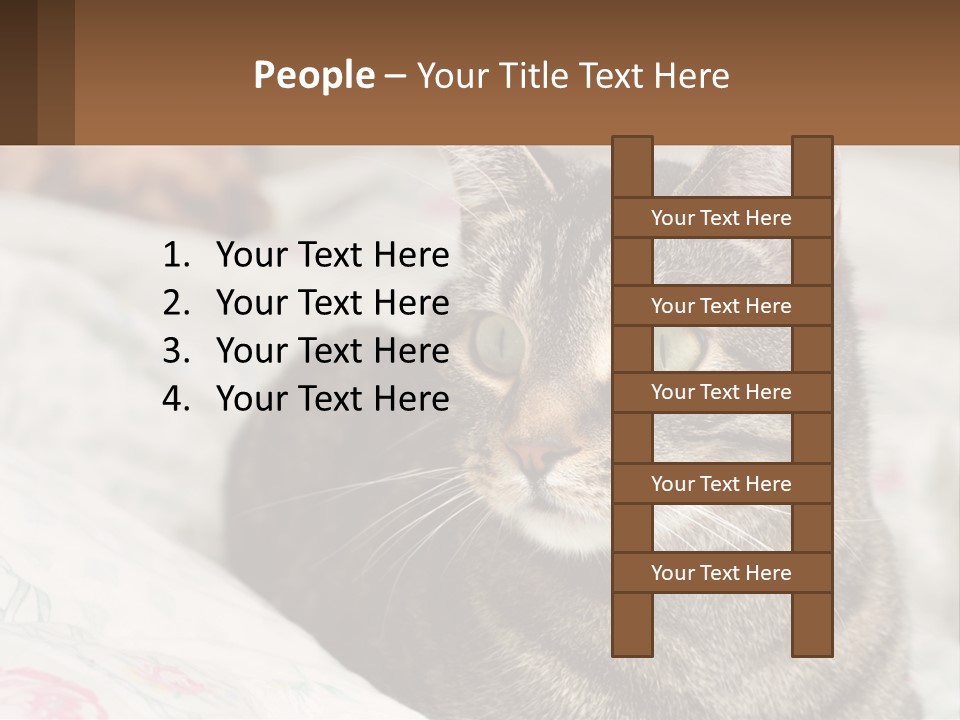 A Cat Sitting On Top Of A Bed Next To A Cat PowerPoint Template