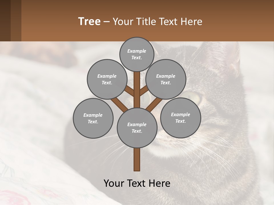 A Cat Sitting On Top Of A Bed Next To A Cat PowerPoint Template