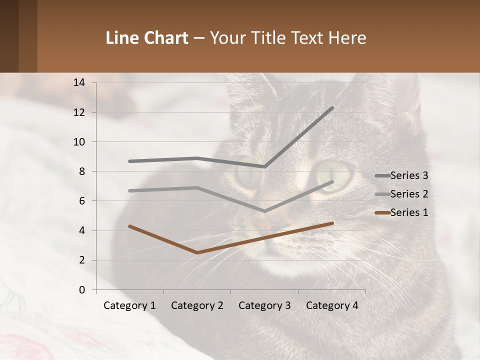 A Cat Sitting On Top Of A Bed Next To A Cat PowerPoint Template