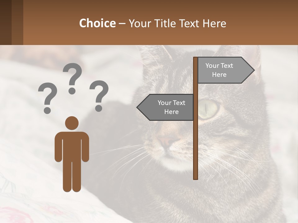 A Cat Sitting On Top Of A Bed Next To A Cat PowerPoint Template
