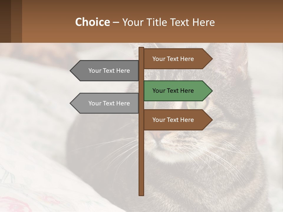 A Cat Sitting On Top Of A Bed Next To A Cat PowerPoint Template