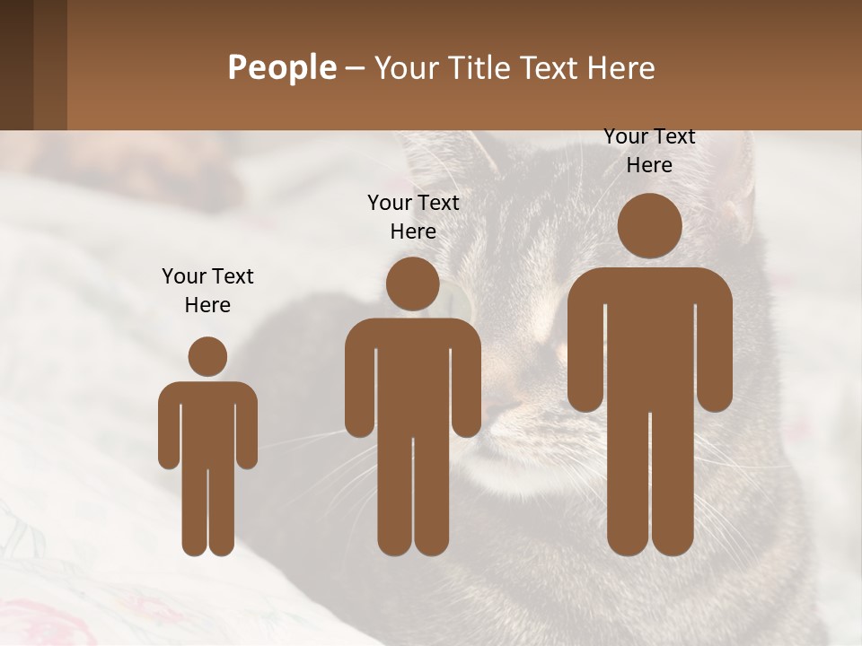 A Cat Sitting On Top Of A Bed Next To A Cat PowerPoint Template