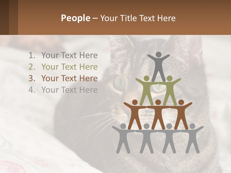 A Cat Sitting On Top Of A Bed Next To A Cat PowerPoint Template