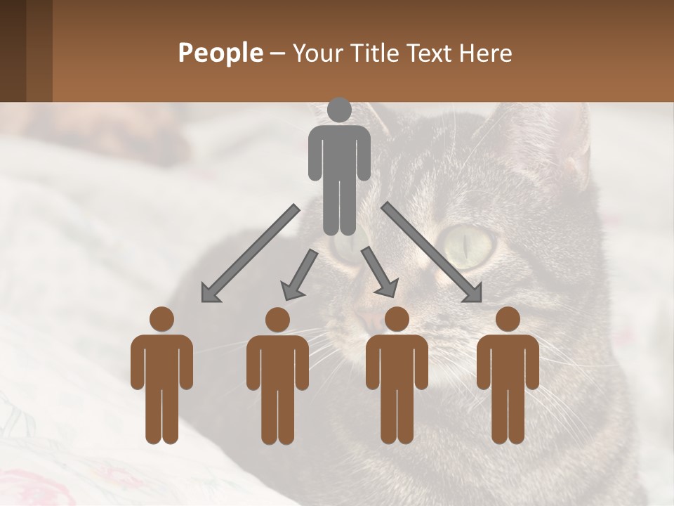 A Cat Sitting On Top Of A Bed Next To A Cat PowerPoint Template