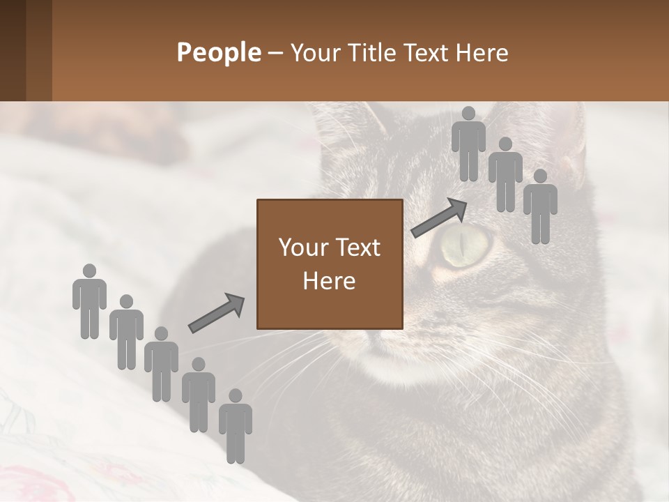 A Cat Sitting On Top Of A Bed Next To A Cat PowerPoint Template