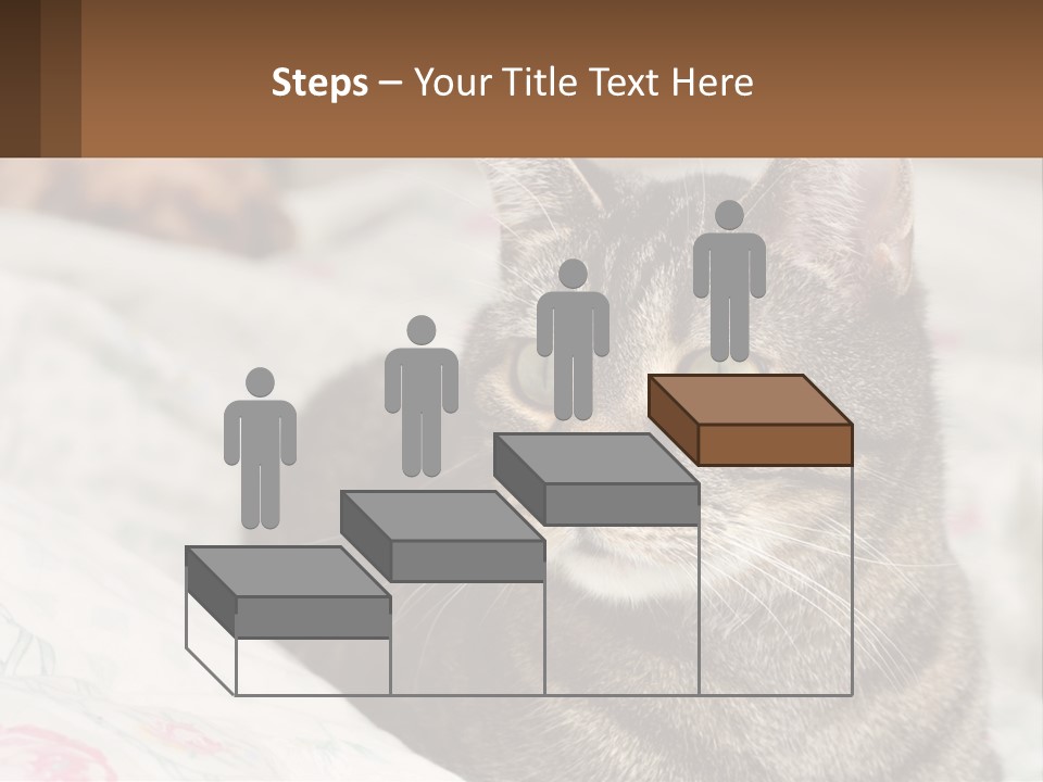 A Cat Sitting On Top Of A Bed Next To A Cat PowerPoint Template