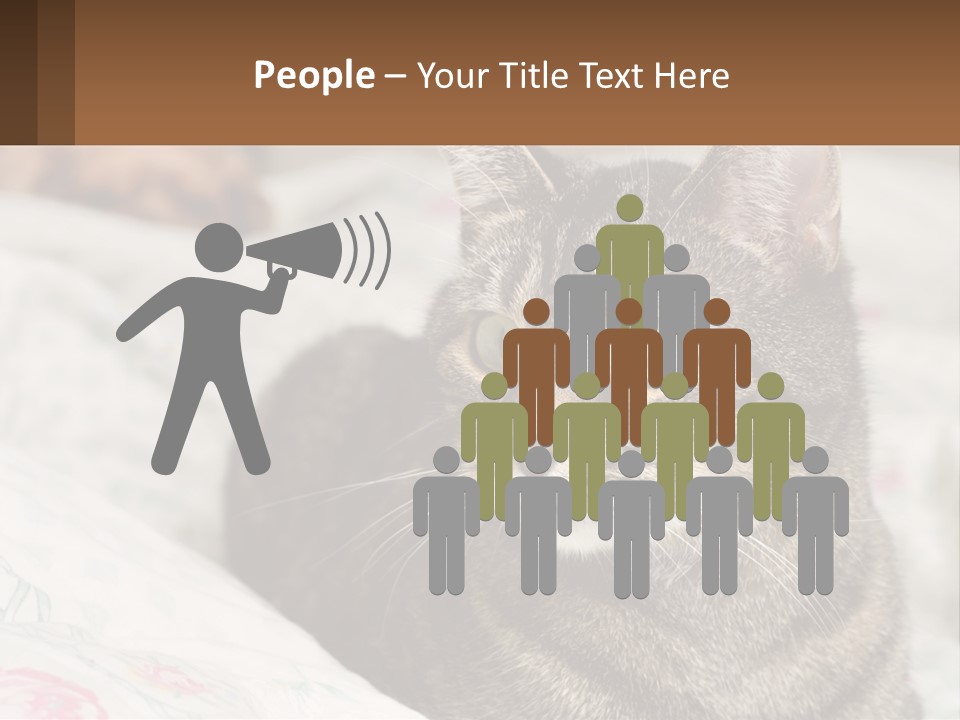 A Cat Sitting On Top Of A Bed Next To A Cat PowerPoint Template