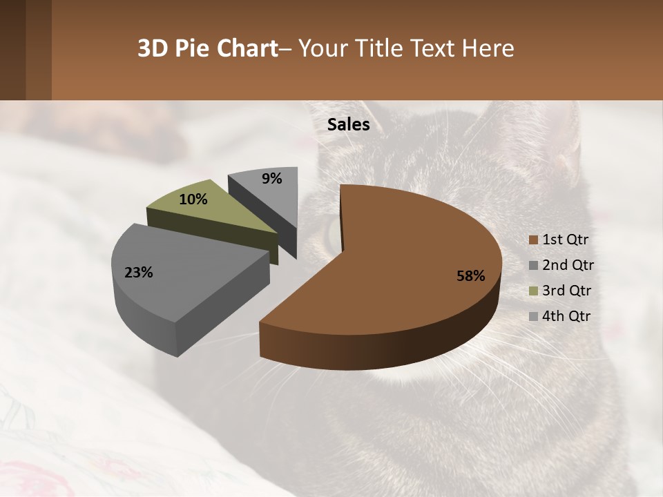 A Cat Sitting On Top Of A Bed Next To A Cat PowerPoint Template