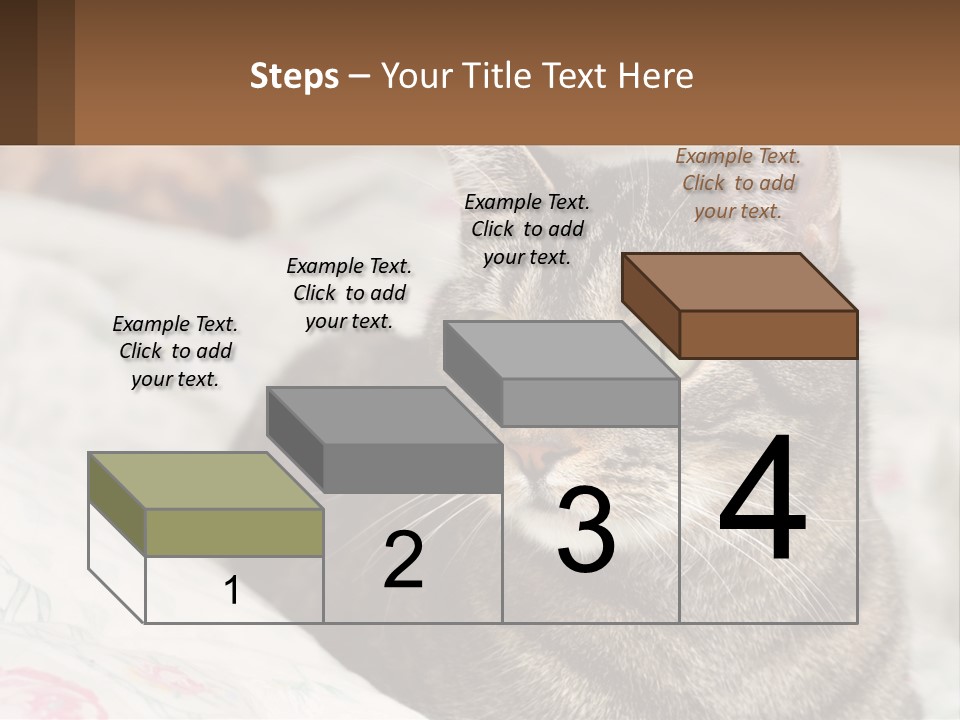 A Cat Sitting On Top Of A Bed Next To A Cat PowerPoint Template