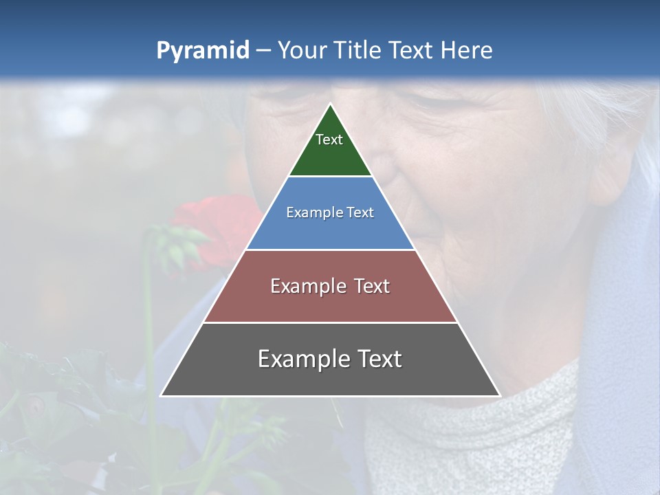 Head Aged Mature PowerPoint Template