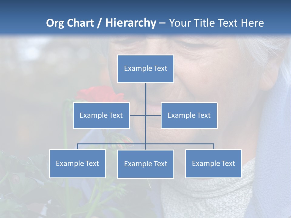 Head Aged Mature PowerPoint Template