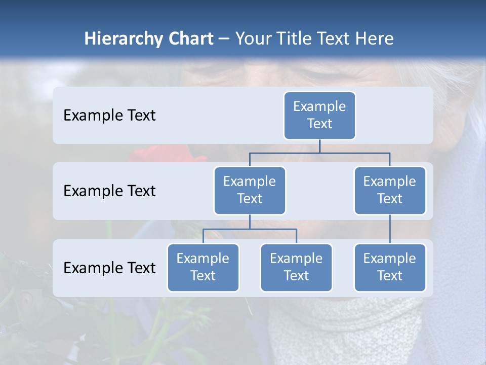 Head Aged Mature PowerPoint Template
