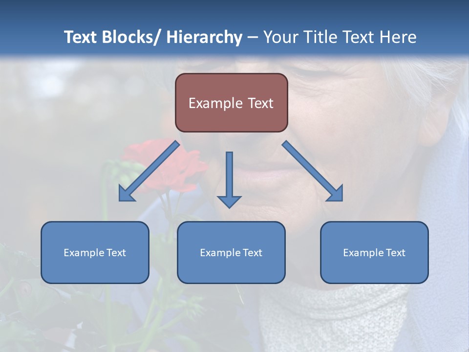 Head Aged Mature PowerPoint Template