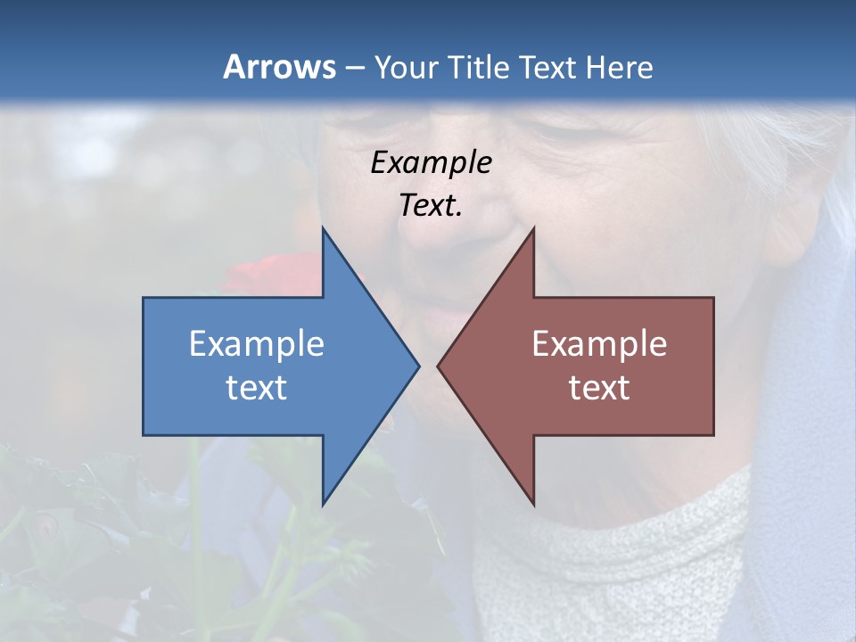 Head Aged Mature PowerPoint Template