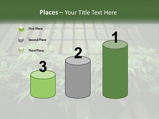 Hemp Organic Room PowerPoint Template