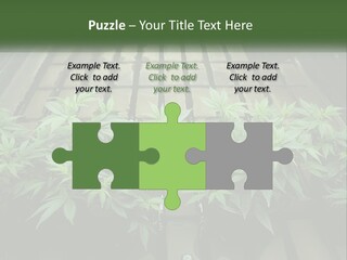 Hemp Organic Room PowerPoint Template