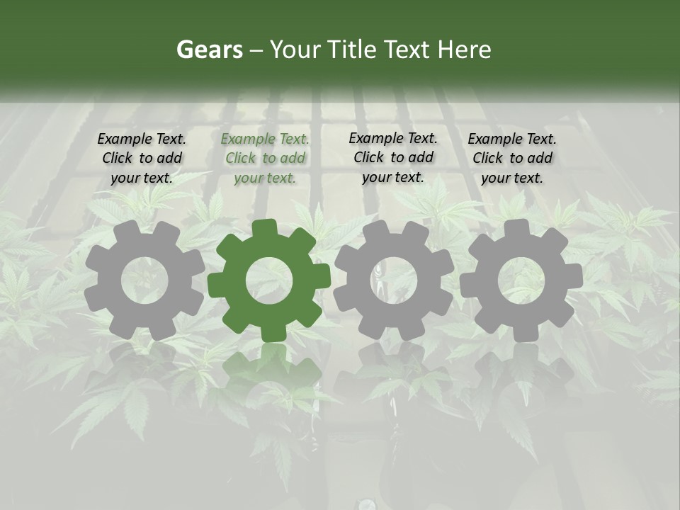 Hemp Organic Room PowerPoint Template