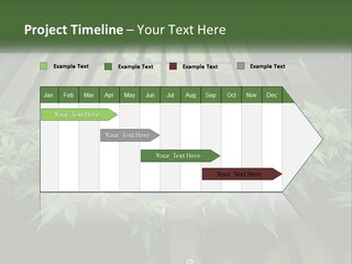 Hemp Organic Room PowerPoint Template