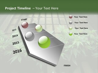 Hemp Organic Room PowerPoint Template