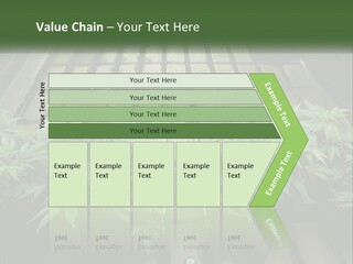 Hemp Organic Room PowerPoint Template