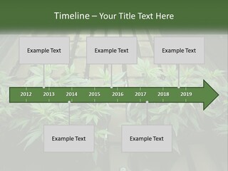 Hemp Organic Room PowerPoint Template