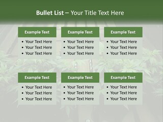 Hemp Organic Room PowerPoint Template