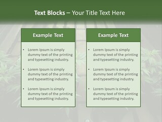 Hemp Organic Room PowerPoint Template