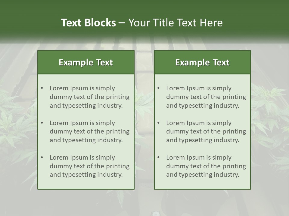 Hemp Organic Room PowerPoint Template